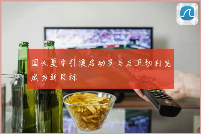 国米夏季引援启动罗马后卫切利克成为新目标